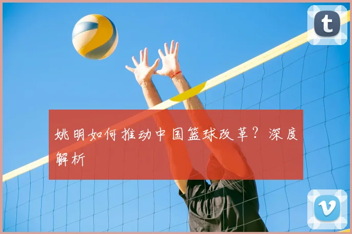 姚明如何推动中国篮球改革？深度解析