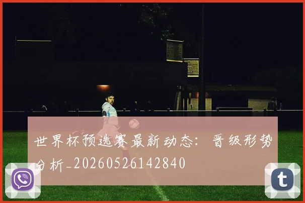 世界杯预选赛最新动态：晋级形势分析_20260526142840